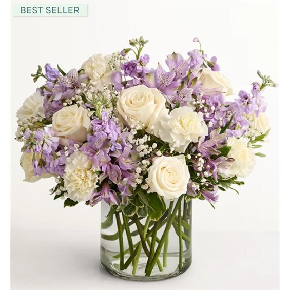 Screenshot_2026-01-14_105800